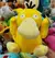 Universo Pokémon - loja online