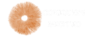 Conexion Micelio