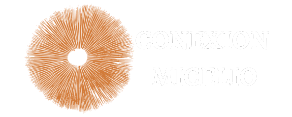 Conexion Micelio
