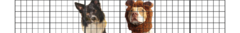 Banner da categoria Cercados