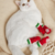 Meia Pet Antiderrapante Sapatinho Passeio Cachorro E Gato na internet