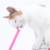 Escova De Dente Pet Cachorro Gato 4 Unidades na internet