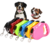 Coleira Pet Guia Retrátil Para Cachorro 5 Metros Passeio - comprar online