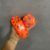 Brinquedos Mordedores Com Som Resistente Interativos Pet C/2 Sapatinho e Bolinha - comprar online
