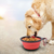 Comedouro Pet Para Passeio Tigela Bebedouro Portátil 350ml