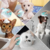 Esponja Massageadora Escova Pet Para Banho Com Dispenser - comprar online