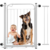 Grade Portão Para Pet De Proteção Com Prolongador - Bertelliecommerce