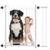 Portão De Proteção Grade Para Pet Com Prolongador 75x83cm - Bertelliecommerce