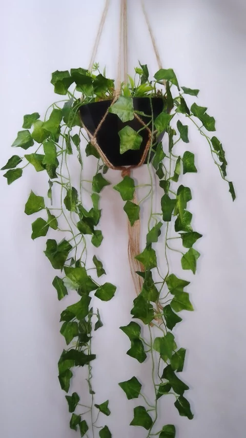 PLANTA HERA COM VASO E SUPORTE
