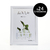 Pack x24 Portarretrato 15x21cm - 2012 - tienda online