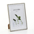 Imagen de Pack x6 Portarretrato 10x15 - 3012