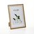 Pack x3 Portarretrato 20x30cm - 3012 en internet