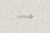 Blanco Paloma - comprar online