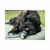 D4 KONG HUESO SNACK H.16KG 18X7CM NEG en internet