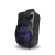 PARLANTE 8" QL1808 CON MICROFONO * - comprar online