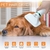 Imagen de Cepillo Secador Eléctrico - Quita Pelos Pelusas/Masajes (2 en 1) para Mascotas
