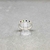 Anillo medio sin fin en internet