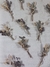 10 Mini ramos de flores secas preservadas - tienda online