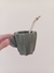 Mate de ceramica Cactus - Fresa Exclusivo