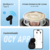 Fone de Ouvido Bluetooth QCY T13 TWS na internet
