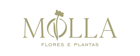 Molla Flores & Plantas