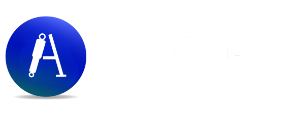 Analogia Suspension