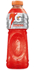 Gatorade 500ml - Flex Suplementos