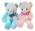 Oso Osito De Peluche Con Luz De 75cm Tw-2206-75