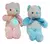 Oso Osito De Peluche Con Luz De 50cm Tw-2206-50