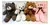 Oso De Peluche Faydi Tw-2205-40 - comprar online