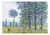 Puzzle Rompecabezas 1000 Pzs Varios Modelos Fd1000270 - Distryzumi