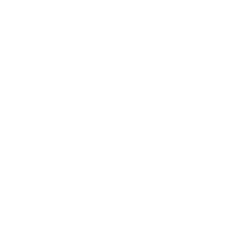 LOBO FEROZ JUGUETES