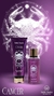 Kit Signo CÂNCER Body Splash 250 ml + Creme Hidratante Shimer 236 ml