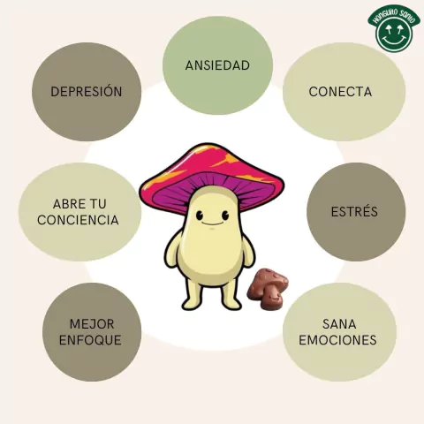 Carrusel 1