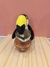 Peluche - comprar online