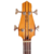 Giannini Alembic AE014B na internet