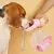 DR - Garrafa de Água para Cães de Estimação / Gatos - loja online