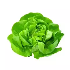 Lechuga kg - comprar online
