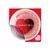 Brillo Labial X 10 Ml Frutos Rojos Sen Intimo