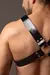 Kinky Dude X-Men Harness en internet