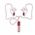 Vibrador Para Pezones Forbidden Lock - comprar en línea