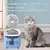 Bebedouro automático para Pets com filtro de carvão ativo - loja online