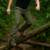 Calça Tática Cargo Explorer™ Masculina – Leve, Resistente e com Múltiplos Bolsos Funcionais - comprar online