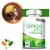 Ginkgo Biloba + Ginseng - 500mg - 60 Cápsulas