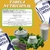 Enzima Lactase - 30 Cápsulas 500mg - Intolerância a lactose - comprar online