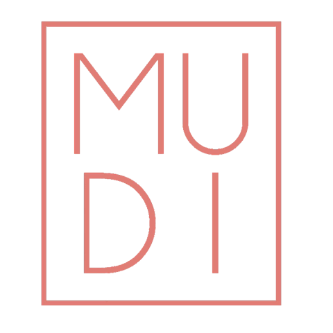 Mudi