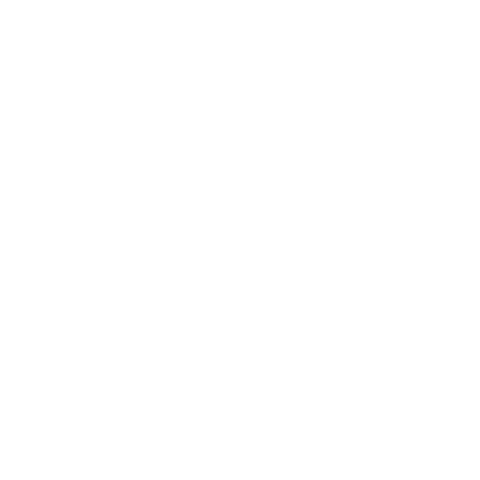 Mudi