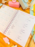 Planner Financeiro A5