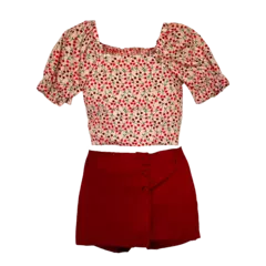 CONJUNTO BLUSA MANGA FOFA - comprar online