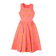 VESTIDO RECORTE E CAJUZINHO na internet